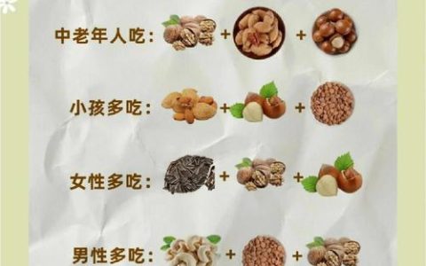 拿坚果攻略：3分钟学会高效收集技巧，轻松开荒必备