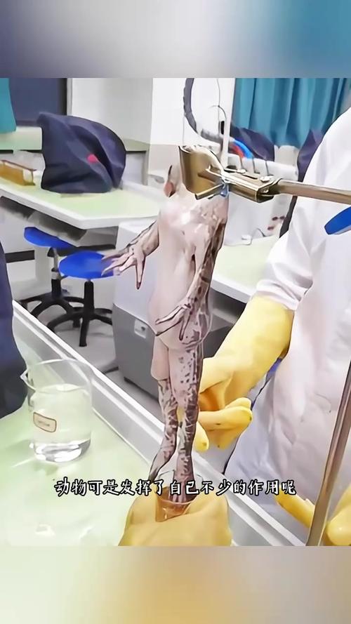 可怕的真相任务怎么做？5分钟速通全流程攻略-3