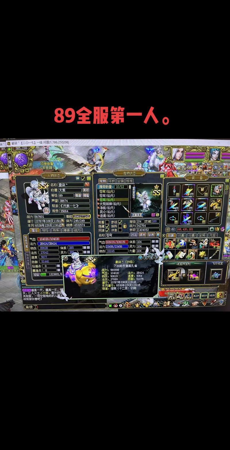 问道宠物时装开启方法详解，3步轻松解锁萌宠新造型-2