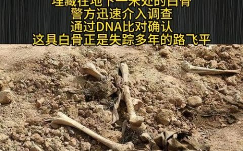 障碍物残骸千万别拆！3个隐藏用途让你轻松开荒
