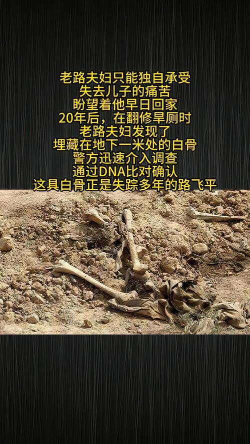 障碍物残骸千万别拆！3个隐藏用途让你轻松开荒-1
