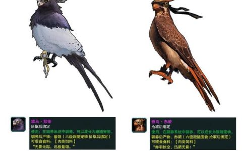 剑网3丐帮跟宠获取全攻略，5分钟教你轻松领养小乞丐