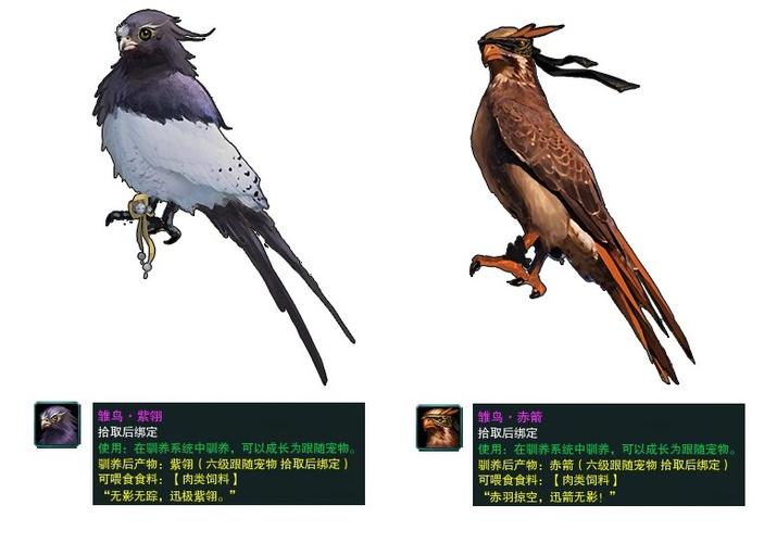 剑网3丐帮跟宠获取全攻略，5分钟教你轻松领养小乞丐-1