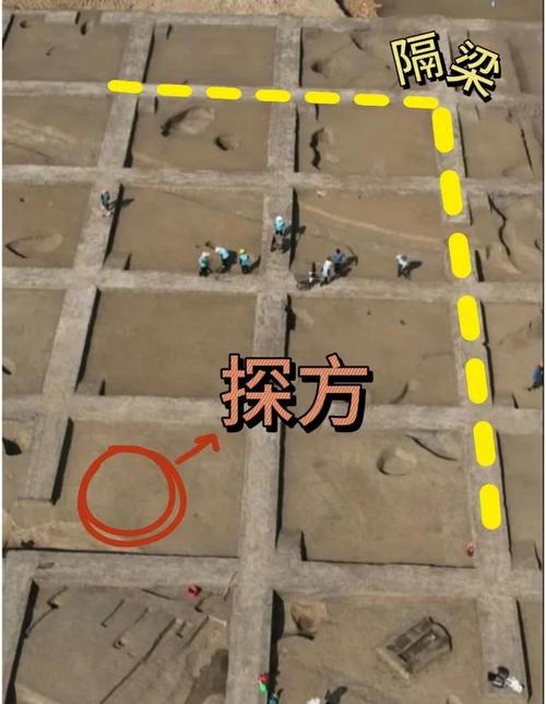 考古冲级攻略：5个高效技巧助你轻松冲满专业技能-4