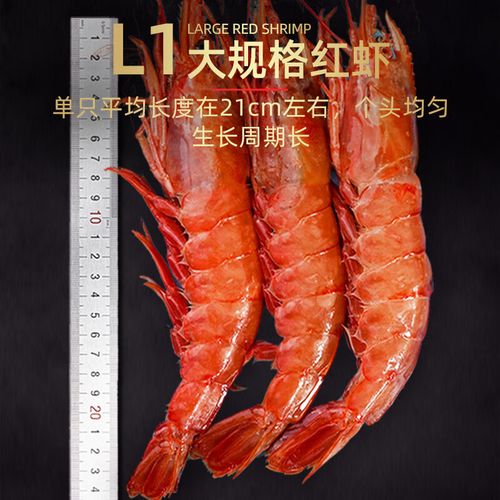 冰川红虾怎么钓最快？3个高效点位与时间详解-3