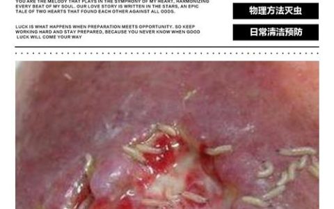 蛆虫地狱速通攻略：5分钟教你无伤通关秘诀