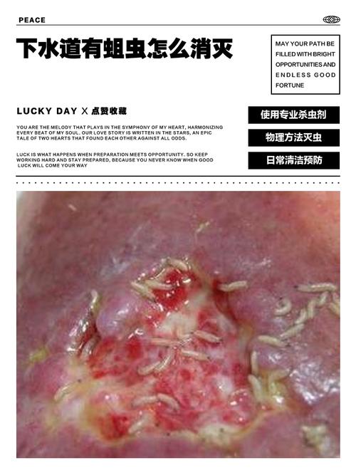 蛆虫地狱速通攻略:5分钟教你无伤通关秘诀