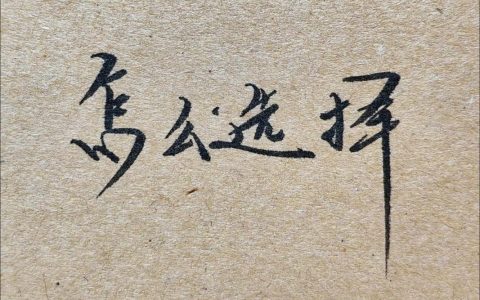 进退两难关卡怎么破？亲测3个技巧轻松搞定