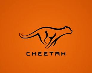 猎豹工作室2026最新攻略!S8赛季高效开荒配队推荐