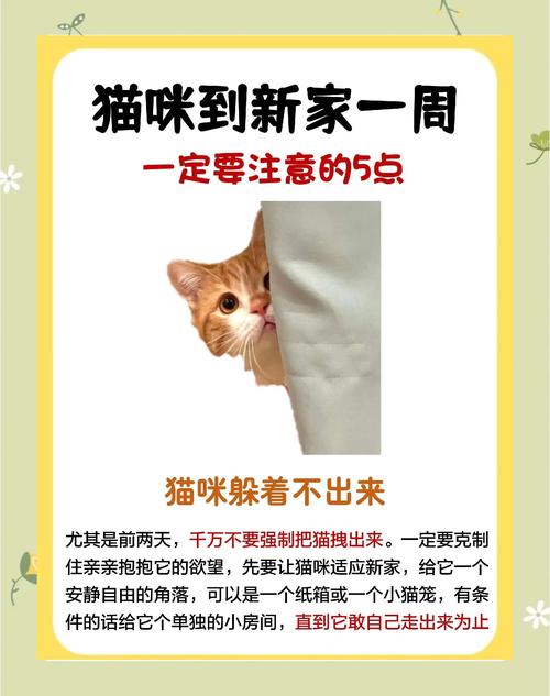 新版猫咪2021在哪里?亲测隐藏刷新点位置一览