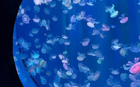 幻想之旅2026版本新手攻略：零氪三天打通全章节