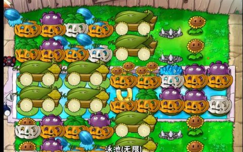 植物大战僵尸无尽模式攻略：亲测100轮以上稳定阵容