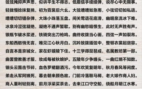 琵琶行副本最新攻略 手把手教你轻松通关