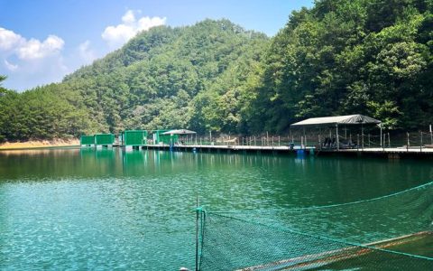垂钓王国新手攻略：3个技巧轻松钓到传说鱼王