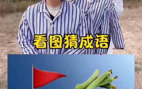猜成语“不堪”反过来怎么答？2026最新攻略秒懂