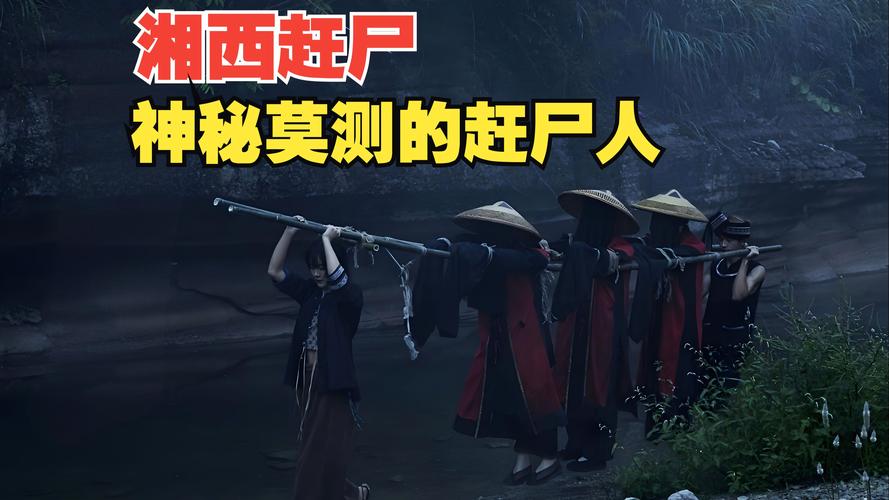 湘西1954赶尸录新手必看:5分钟速通核心玩法