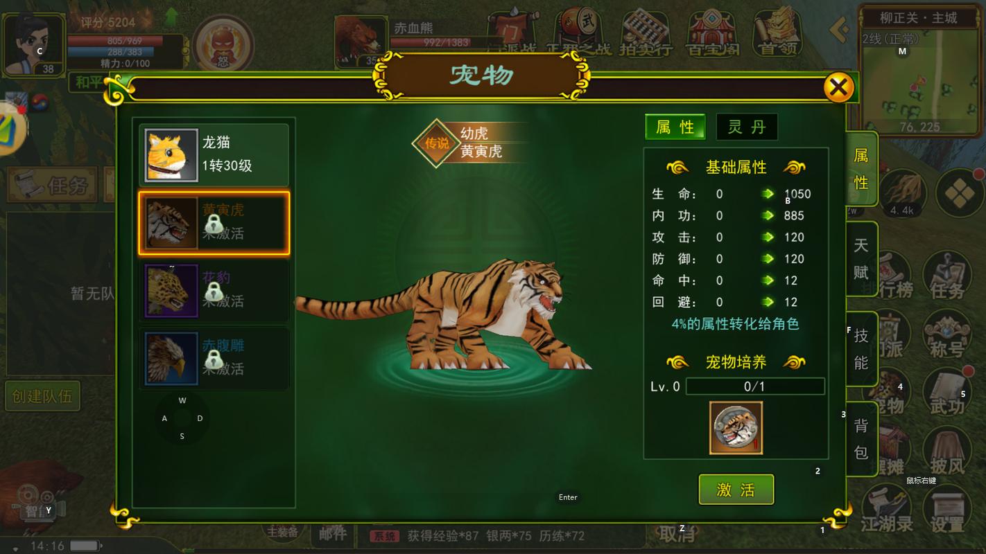 热血江湖灵兽信息栏全攻略:如何查看与设置宠物属性