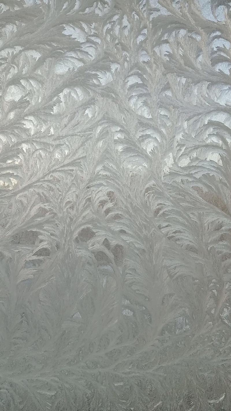 冬天玻璃上的冰窗花是怎么形成的?3个科学小知识秒懂