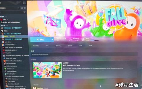 糖豆人Steam叫什么？最新官方名称+免费下载教程
