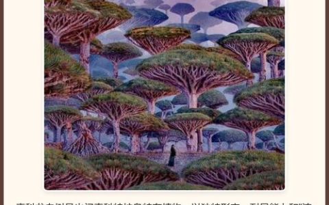 索科龙血树特征全解析：新手必看3个关键点与隐藏用途