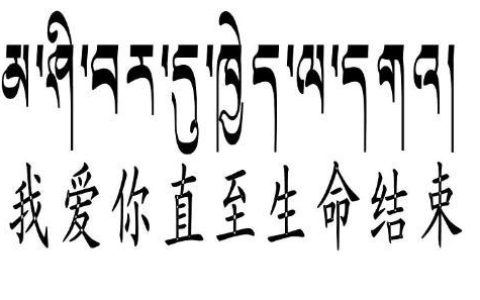 藏语“喜欢你”怎么读？学会这句情话，表白成功率翻倍！