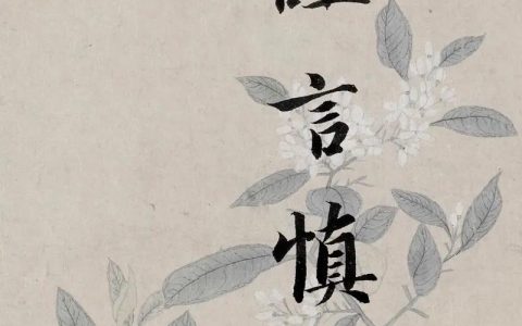 《非礼勿视》看完直呼过瘾？这3点告诉你值不值得看！