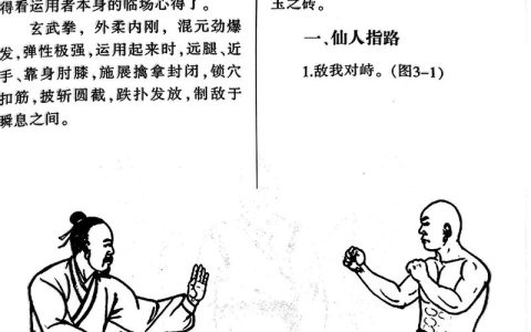 热血江湖玄武分解图最新攻略，3分钟搞懂获取与使用技巧