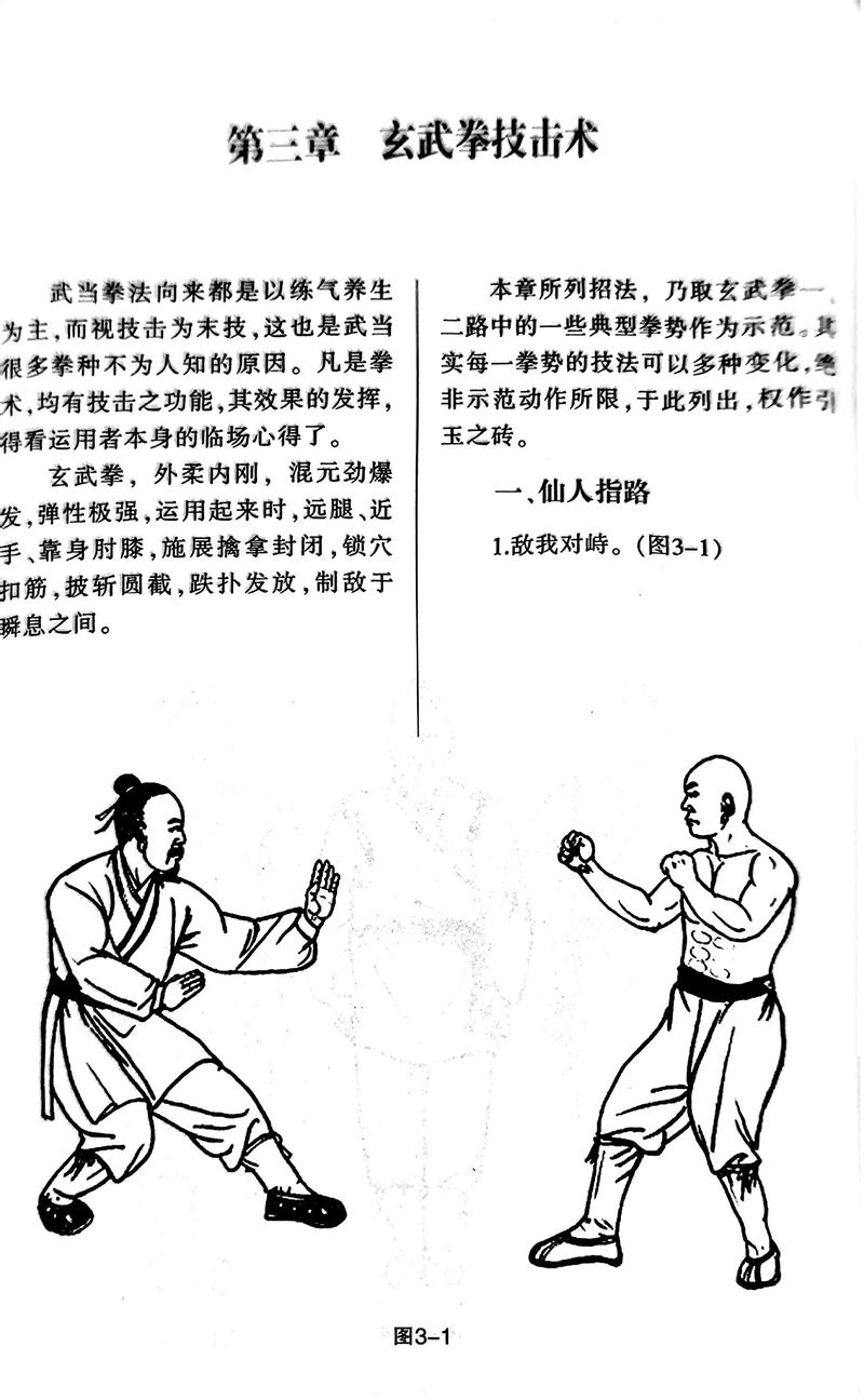 热血江湖玄武分解图最新攻略,3分钟搞懂获取与使用技巧