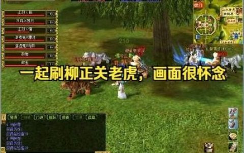 热血江湖柳肉肉怎么打？3个技巧轻松通关