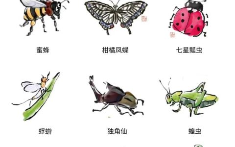 《我的世界》中人们通常会借助哪种昆虫？蜜蜂驯养与繁殖指南