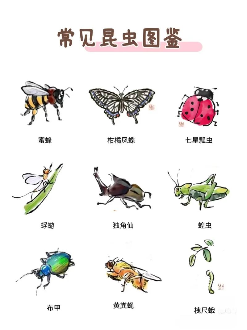《我的世界》中人们通常会借助哪种昆虫?蜜蜂驯养与繁殖指南