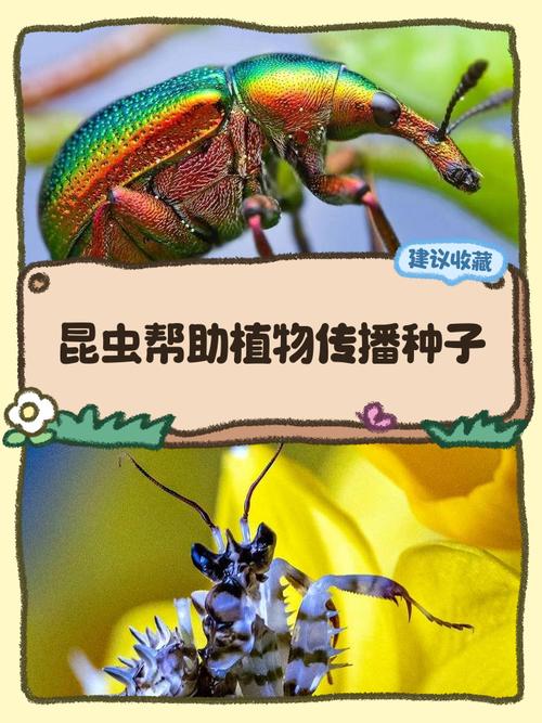 《我的世界》中人们通常会借助哪种昆虫?蜜蜂驯养与繁殖指南