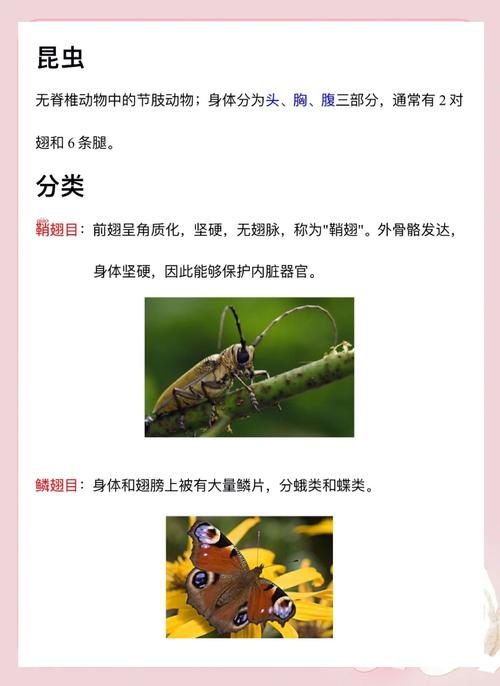 《我的世界》中人们通常会借助哪种昆虫?蜜蜂驯养与繁殖指南