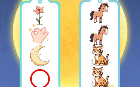 疯狂猜成语“我错了”答案揭秘，原来这么简单！