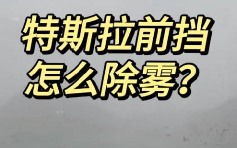 特斯拉电喷雾攻略：最新3套高效打法与配装亲测