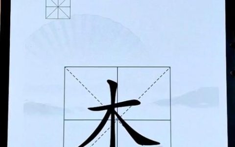 木加一笔有哪些字？这20个常见字你认识几个？
