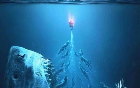 深海挑战怎么打？2026最新版本高效通关配队攻略