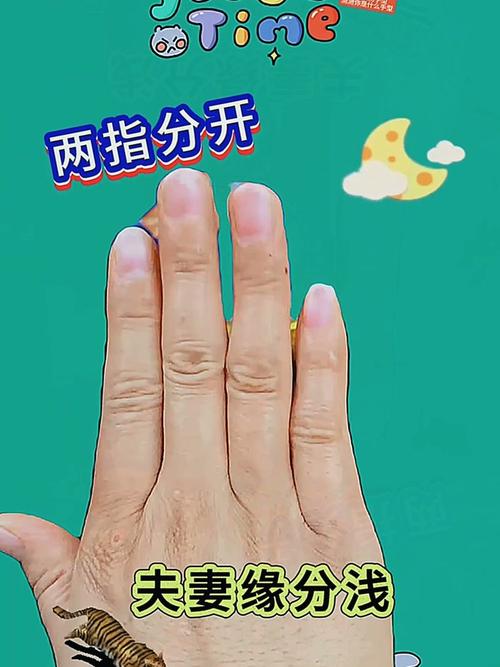 2026最新指纹测缘分玩法,3分钟测出你和TA的默契度