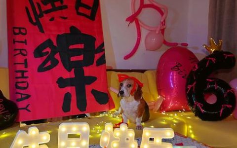 我的生日派对攻略：高效布置+隐藏成就解锁秘籍