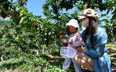 河北宽城县农业的主导产业是啥？这3个产业最赚钱