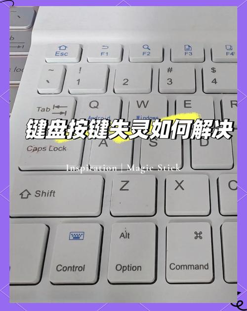 热血无赖键盘失灵怎么办?亲测一招轻松修复