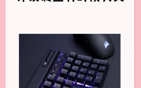 热血无赖键盘失灵怎么办？亲测一招轻松修复