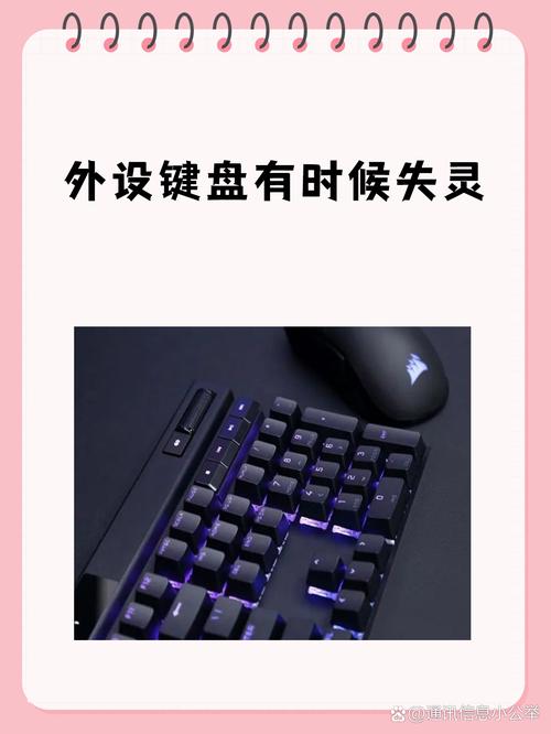 热血无赖键盘失灵怎么办?亲测一招轻松修复