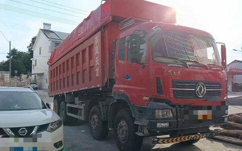 2026天龙bbs亲测：零氪玩家必看的高效升级攻略