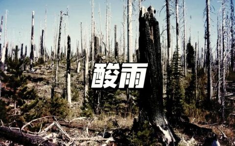 魔兽世界酸雨机制详解：3个技巧让你轻松扛过毒雨