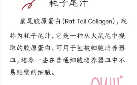 耗子尾汁什么意思？这个网络梗的出处和用法全解析