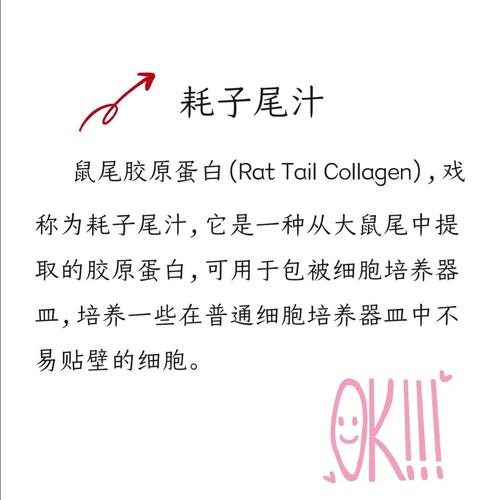 耗子尾汁什么意思?这个网络梗的出处和用法全解析