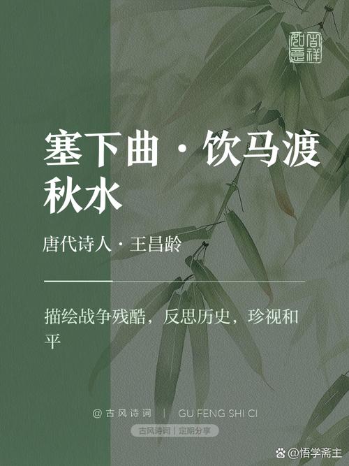 跃马西凉2026最强配队,这套阵容开荒稳过