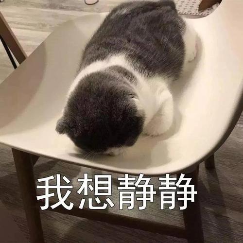 原神隐藏成就‘我想静静’解锁方法(耗时5分钟)
