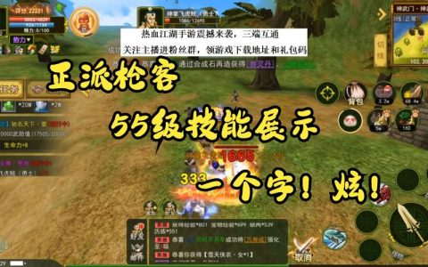 热血江湖55级枪客攻略：这套技能配装让你刷怪效率翻倍